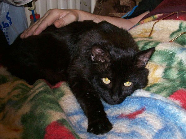 Отец Дмитрий Нестерв