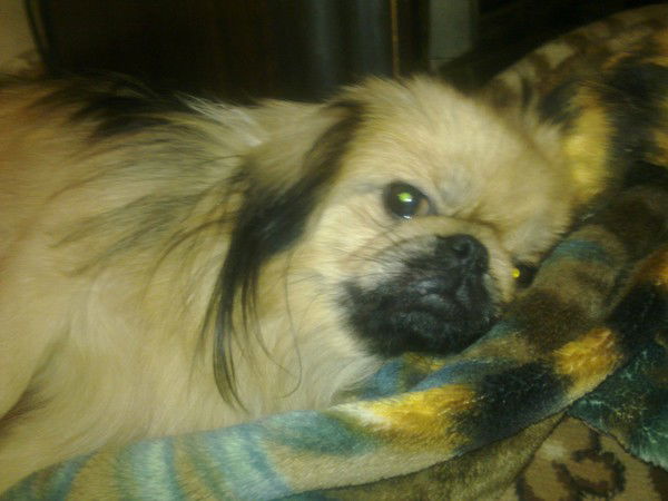 Людмила Дробитько