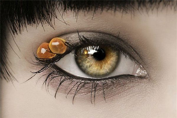 Светлана Светлана