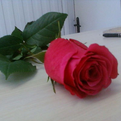 Незнакомка