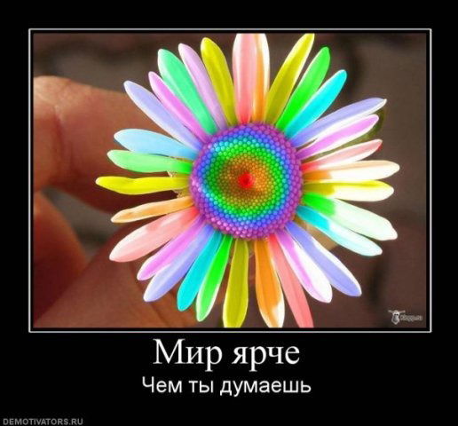 Райгуля Куанышбекова