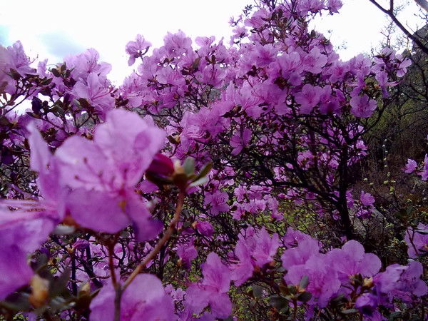 Галина Соловьёва