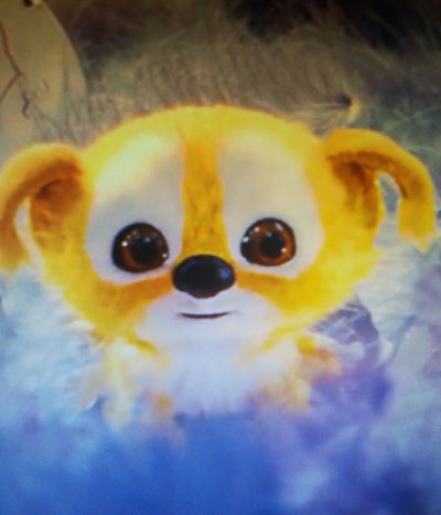 Владимир Данов