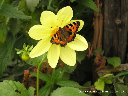 Татьяна Бирюкова