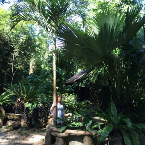 Ольга Никифорова