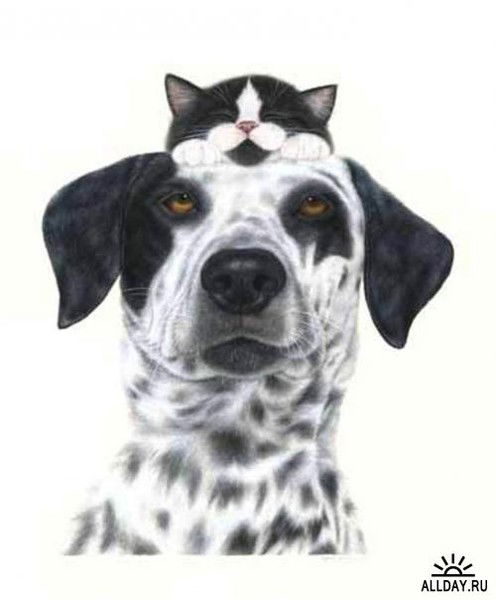 Николай Поднебесный