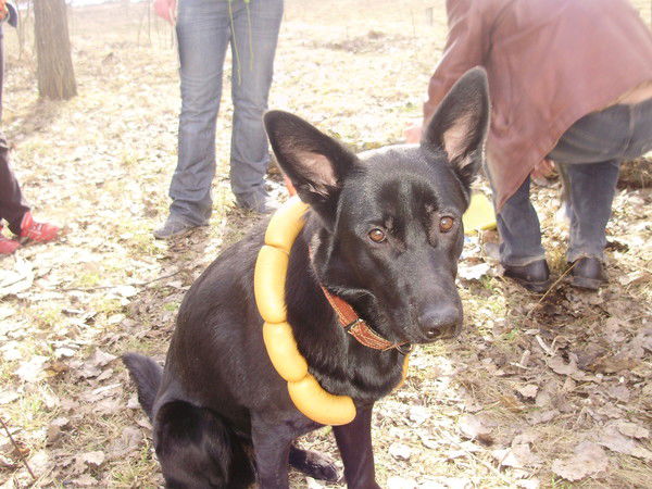 Сергей Пыжевский