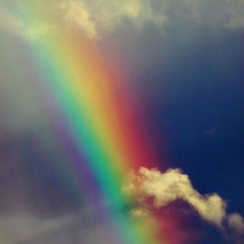 Лада Белякова