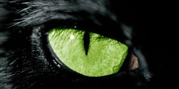 Сунцов Евгений