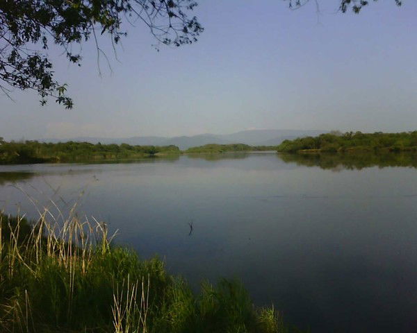 Сергей Редкокашин