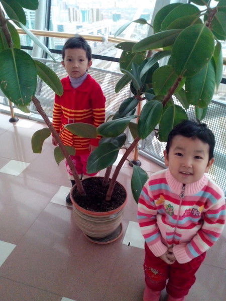 Молдир Шойманова