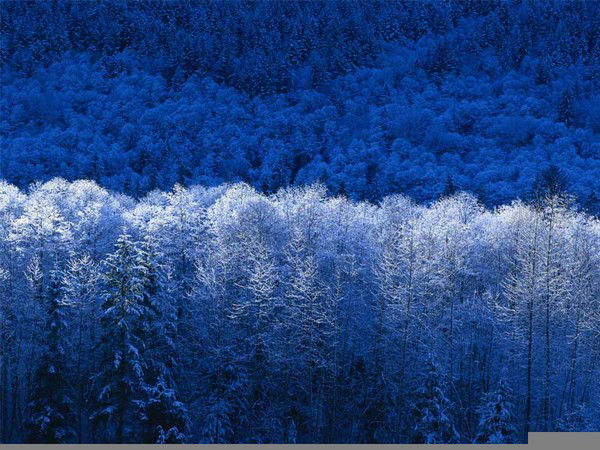 Наталья Генохович