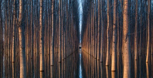 Саша Фоккер