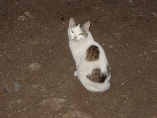 Юрий Максимов