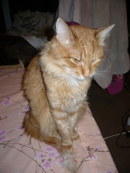 Сергей Кругликов