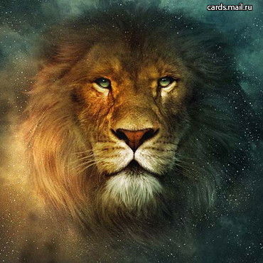 Михаил Князев