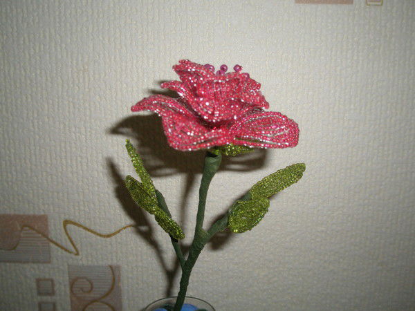 Наташа Калиниченко