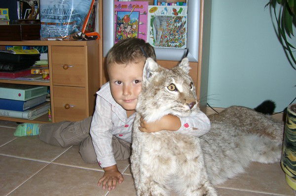 Юлия Золотихина