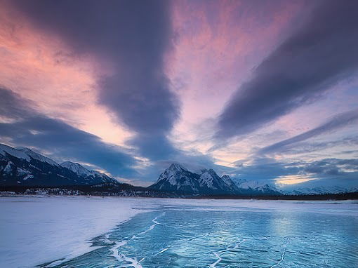 Елена Богатова