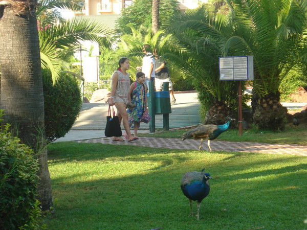 Ясмин Ахметова