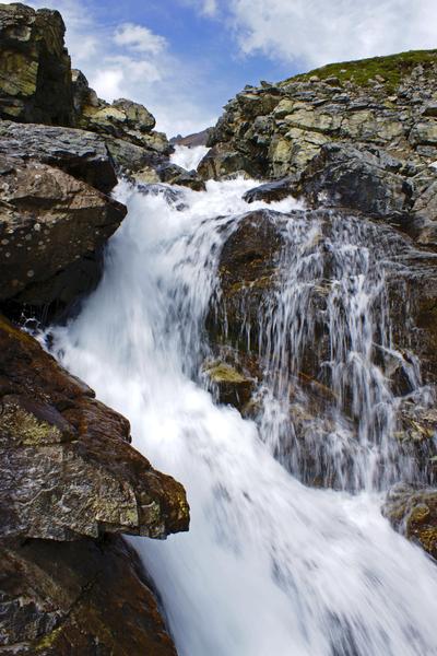 Григорий Мендель