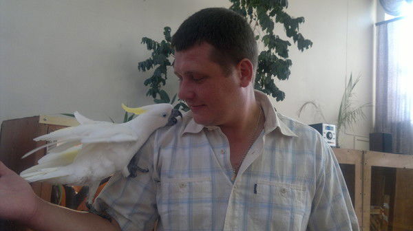 Александр Скороходов