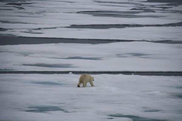 Олег Донинь