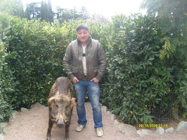 Дмитрий Цой