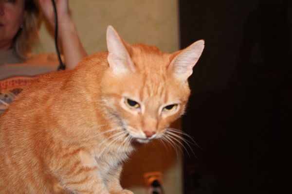 Мария Баранова