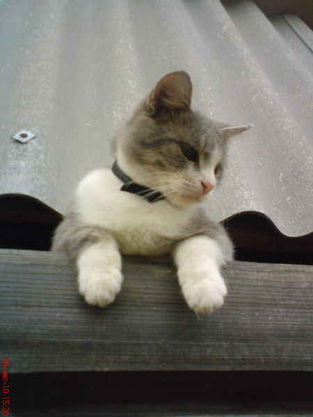 Артур Кириллов