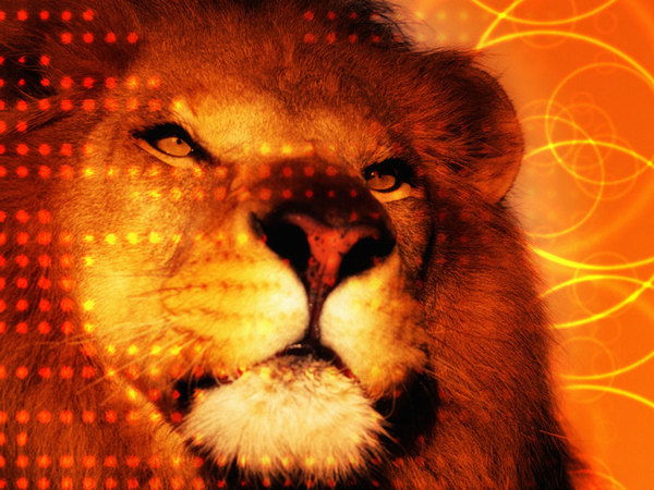 Диана Маркиза