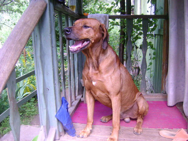 Женя Твердохлебов