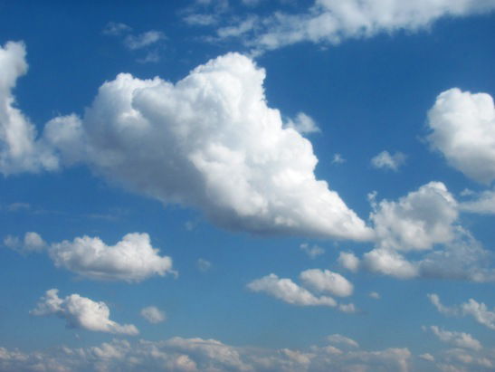 Ольга Севастьянова