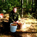 Алексей Михайлов