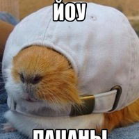 Максим Галыга