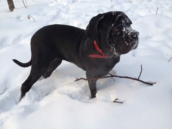 Шумскии Виктор