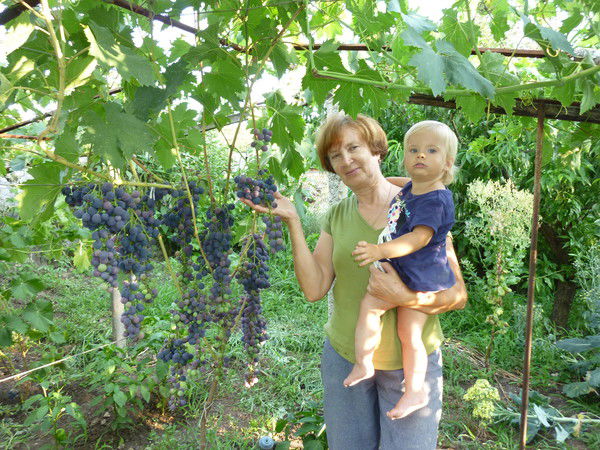 Галина Васильева