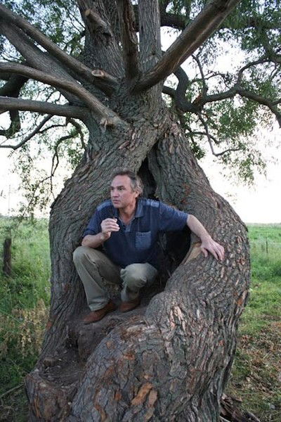 Ильин Владислав