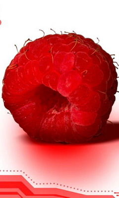 Наталия Руденко