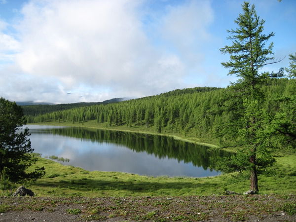 Анна Святкина