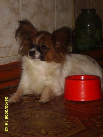 Ольга Раздрогова