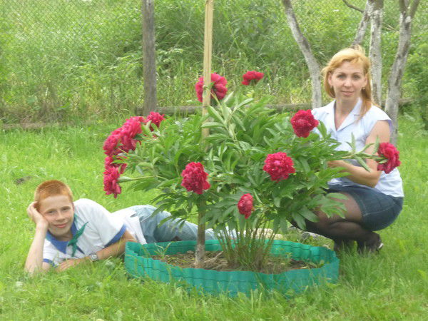 Любовь Павлухина