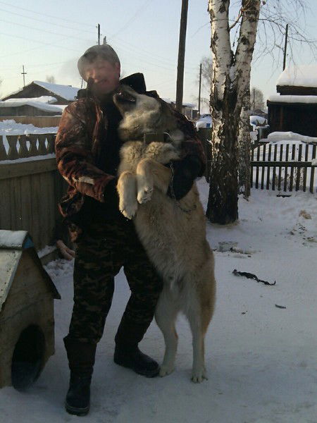 Николай Сипкин