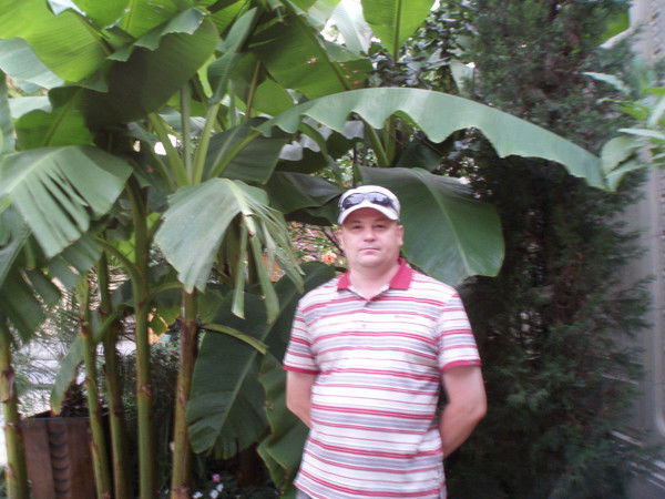 Игорь Салмин