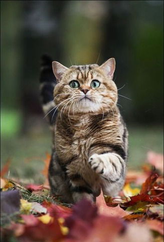 [Избалованное_ Чудо]