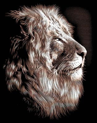 Роман Урманов