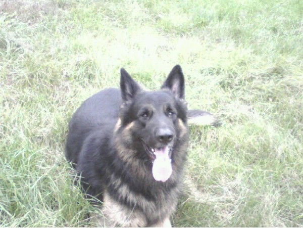 Наталья Богатенко