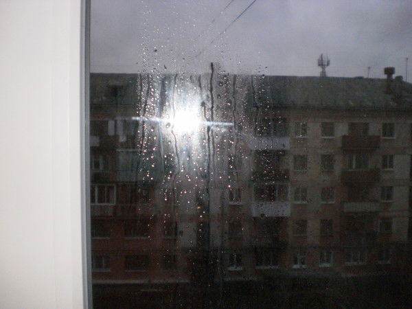 Алёна Лустова