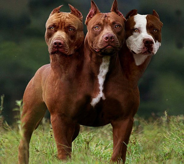 Егор Юртаев