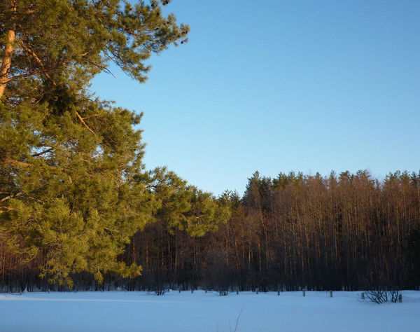 Финиса Хуснуллина